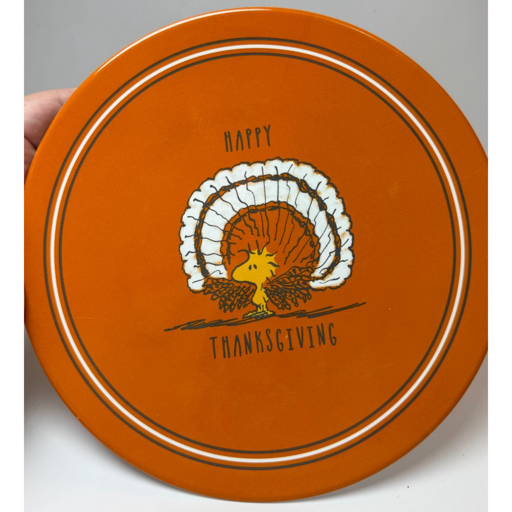 Peanuts Snoopy Pottery Barn Thanksgiving Holiday 5 Piece Plate Set Kids Melamine - Picture 8 of 8